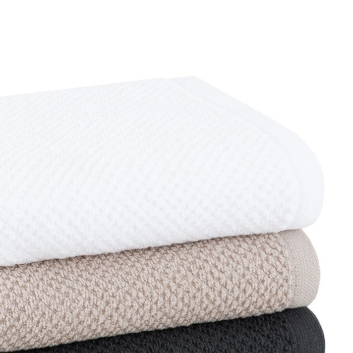 image_ee58304d-3056-4f30-8e7f-f4d439a39500