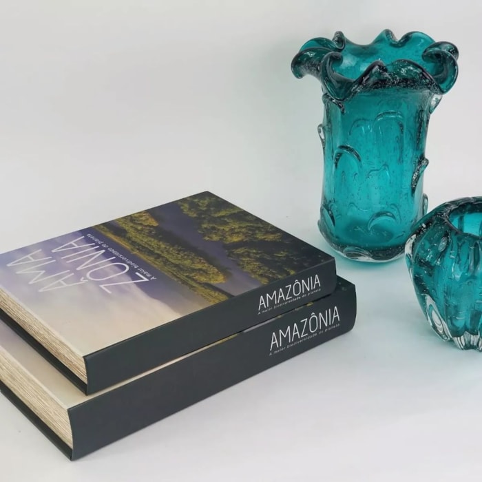 Kit Caixa Livro Decorativa Amazônia - 2 Peças - Madel Home