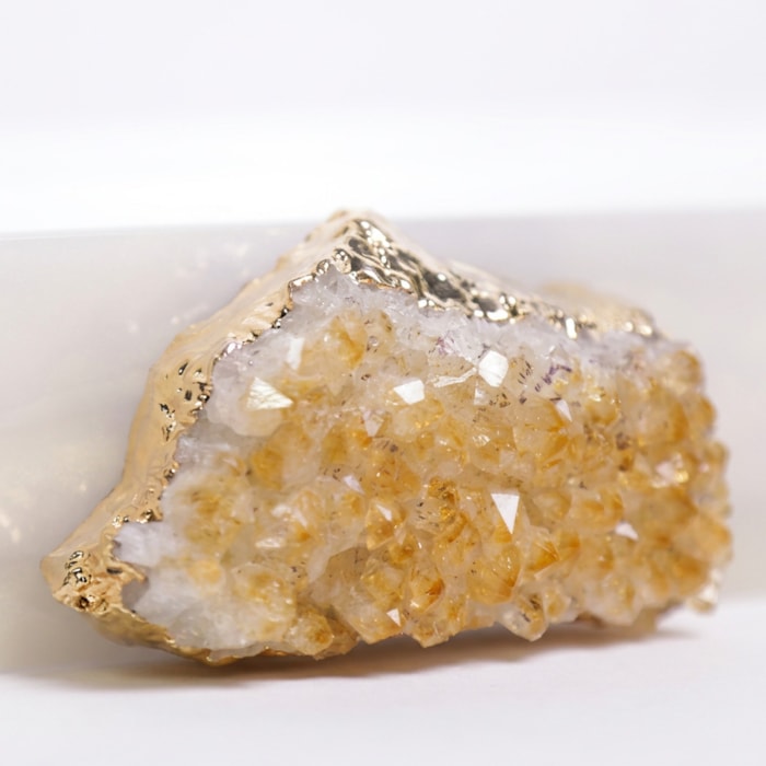 image_8645982c-1542-4563-ab2f-552401b3ddeb