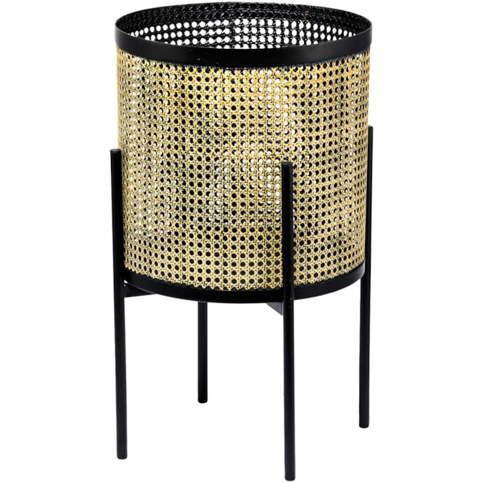 image_511f0347-8f50-4a29-834f-96ada8b4d45d