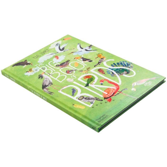 Livro The Big Book Of Birds: 0 - Yuval Zommer 1 Ed 2019 - Madel Home