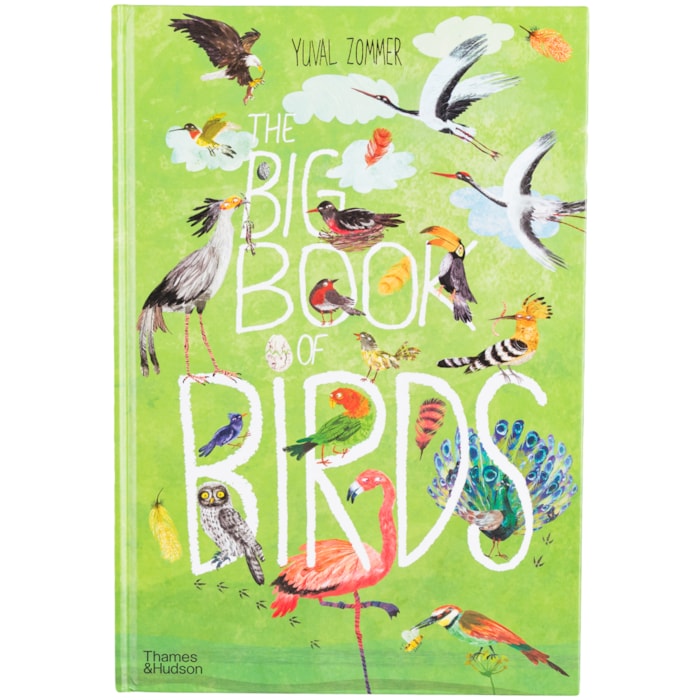 Livro The Big Book Of Birds: 0 - Yuval Zommer 1 Ed 2019 - Madel Home