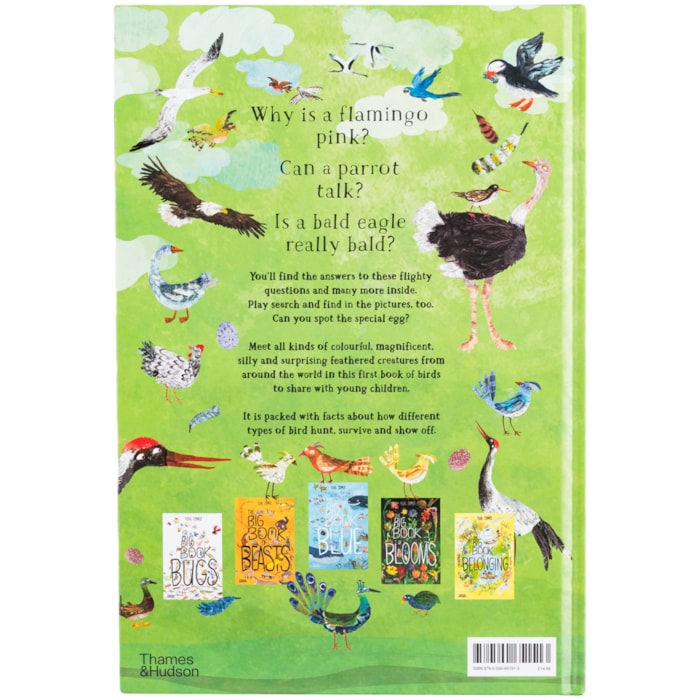 Livro The Big Book Of Birds: 0 - Yuval Zommer 1 Ed 2019 - Madel Home