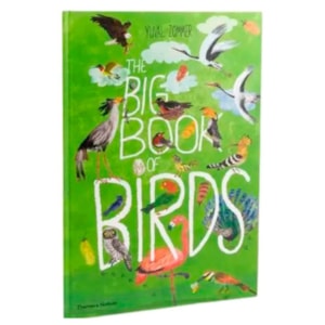 Livro The Big Book Of Birds: 0 - Yuval Zommer 1 Ed 2019