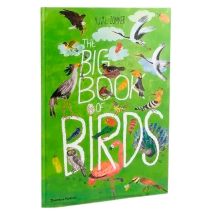 Livro The Big Book Of Birds: 0 - Yuval Zommer 1 Ed 2019 - Madel Home