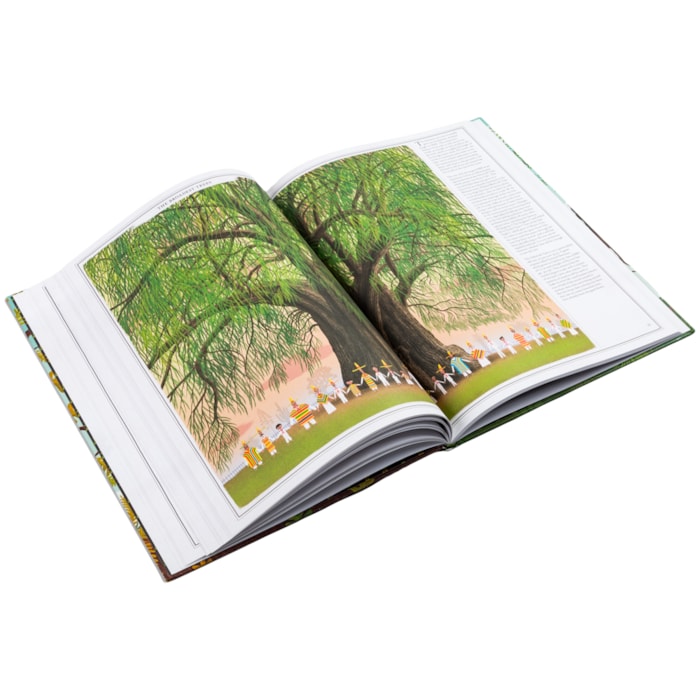 Livro The Book Of Trees - Piotr Socha 1 Ed 2018 - Madel Home