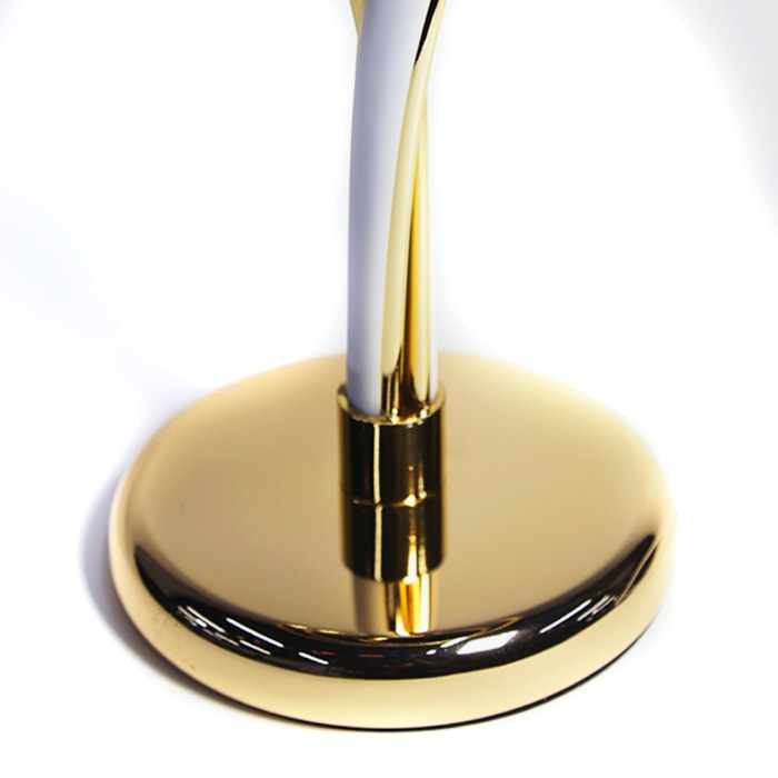 image_6d31c554-020e-40a3-9792-577e1204a19a