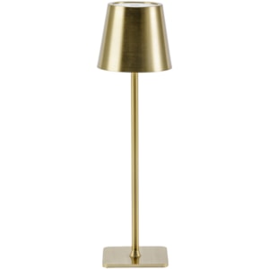 Luminária de Mesa Arbos Metal Dourado LED USB - 38cm