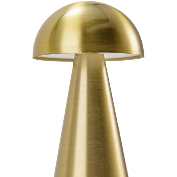 image_3e12c0a7-4aac-42e0-8ee8-26f5bfbfb53e