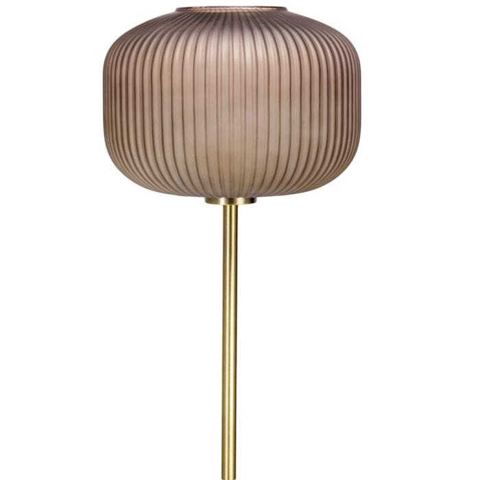 image_485fbd55-af55-4fd2-9cf5-57da40dfd873