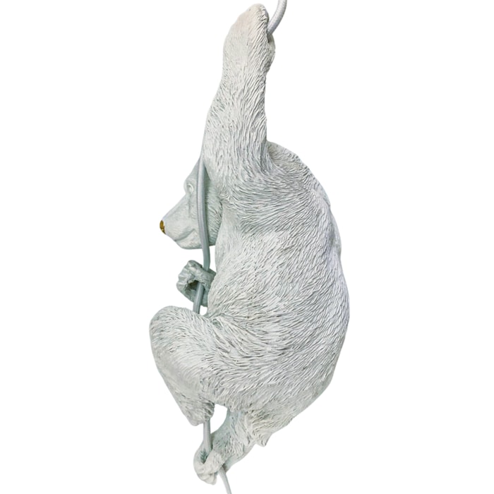 image_9a61b768-eb8b-4226-a52b-a50433287146