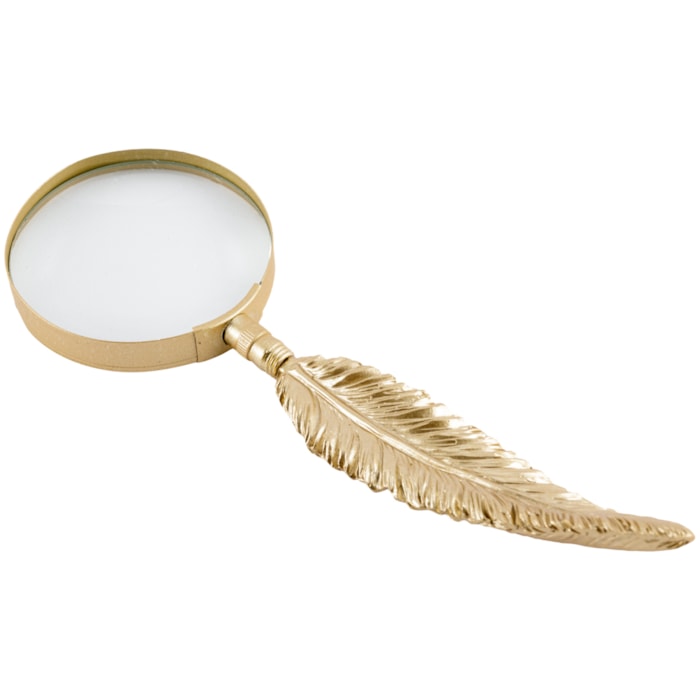 image_ad9b6f54-785d-4e71-a371-e2f38a1c9562