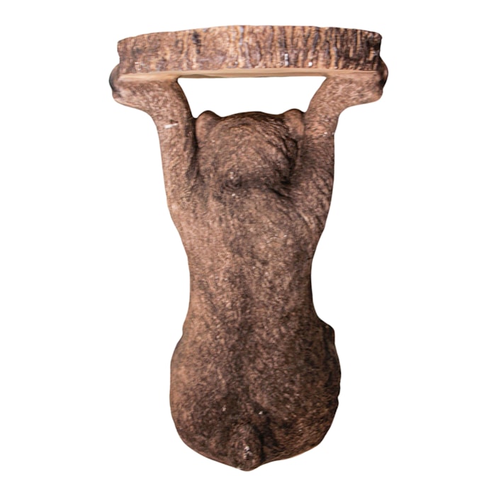 image_795a9daa-21f9-419f-ab8c-baffde14cc7a