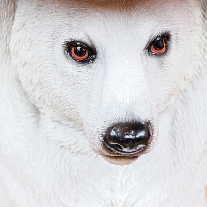 image_d11e97fb-556c-4df0-931d-ea50c3921e2d