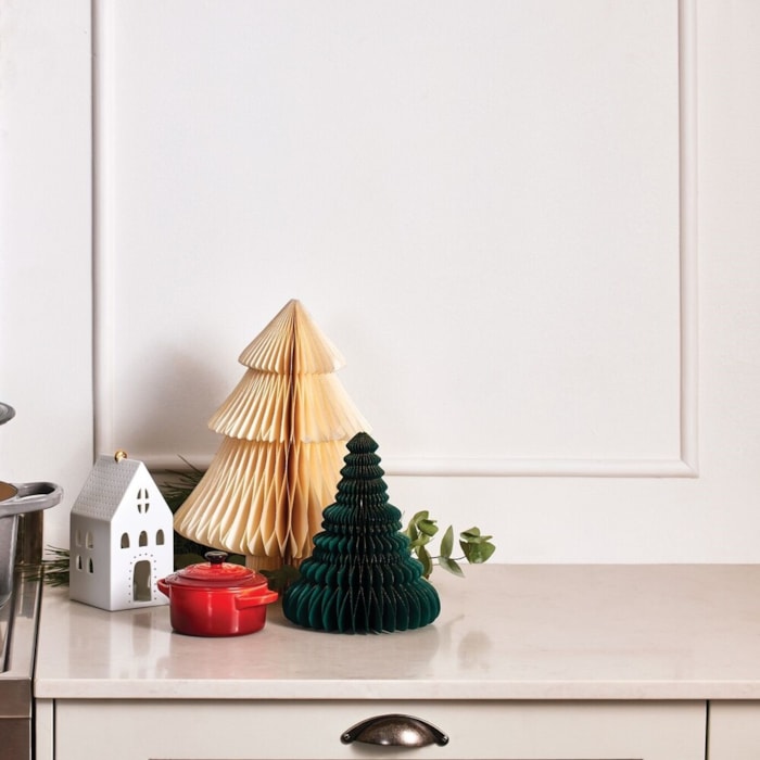 image_618b6c53-7971-4141-baa0-c7433997dc42