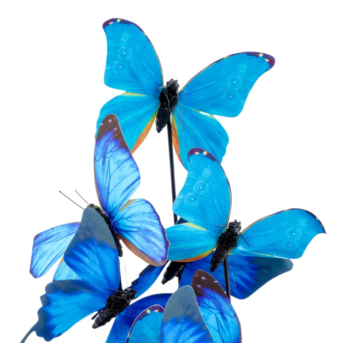 image_e28792b9-a8c8-40c2-ad69-91b5837ef410