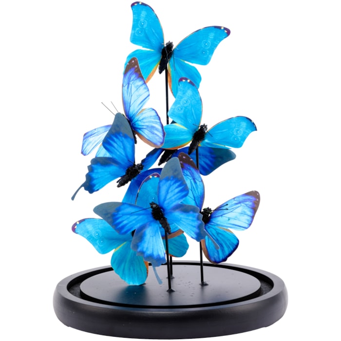 image_2d4d2eee-26e2-48ef-8294-cb42fa78ec56