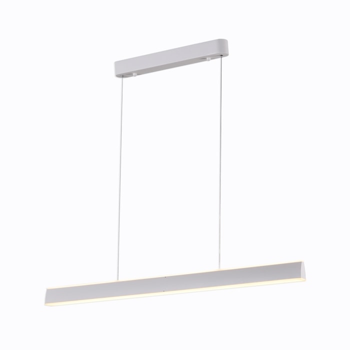 image_cf36d822-6fc5-4748-82b7-8407aa3a2624