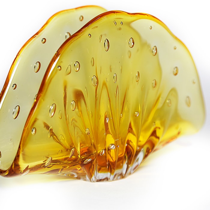 image_ee74dbd5-0892-40c6-9de7-e8fb46ccd6b6