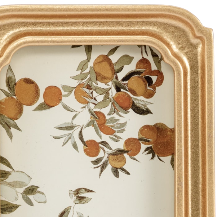 image_888d8f3b-9422-4e9d-bcfa-4c1ed71a5f87