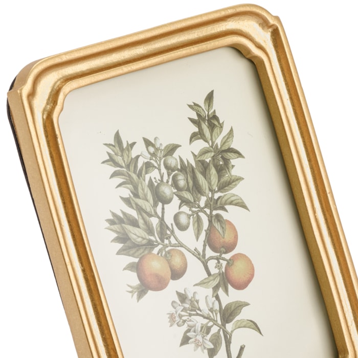 image_1dd3db70-6157-4431-8aba-f0b52ee3f694