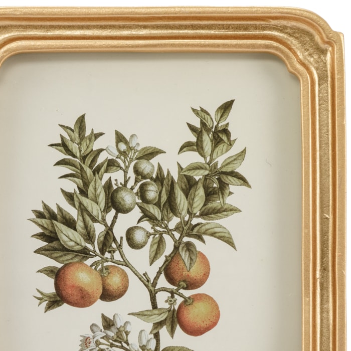 image_98e6882f-73b1-4068-82cd-3b81a93cbcbe