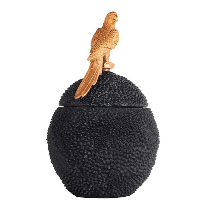 image_dbeba6a0-5586-4261-9afa-cdf9e8357f6d