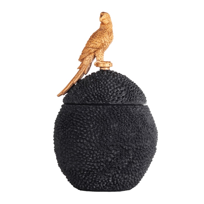 image_3452ee0b-93fd-478b-add1-6ee4b7ad3c2c