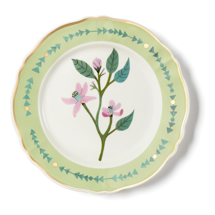 image_c59a9db4-2a36-4c74-87ab-df905343fe04