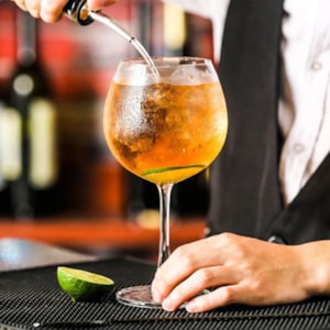 Taça de Gin Gastro Cristal Ecológico Cristais Bohemia 570ml - Un