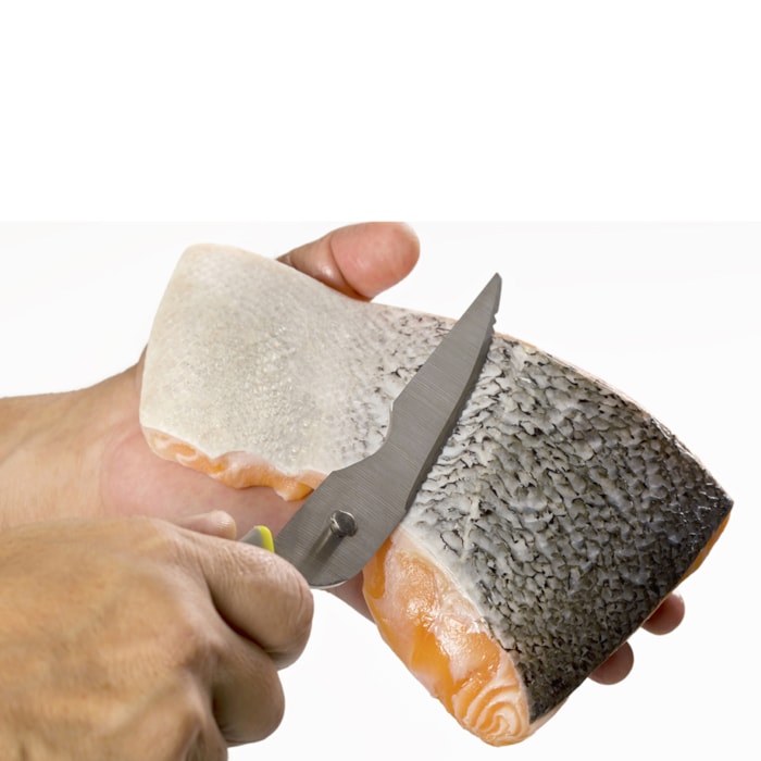 image_52e418c0-8f2c-4839-8876-3fad3d20cd58