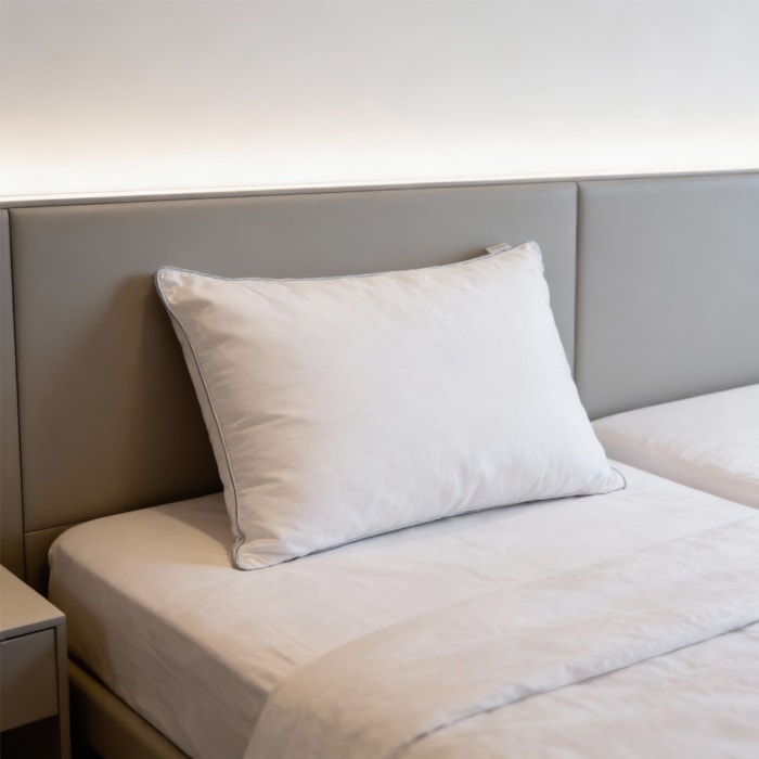 image_898159ed-3717-4537-bcb4-115ea1f58b75