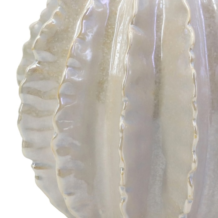 image_46e85d9a-f33e-4f32-85c5-278d2650e2f1