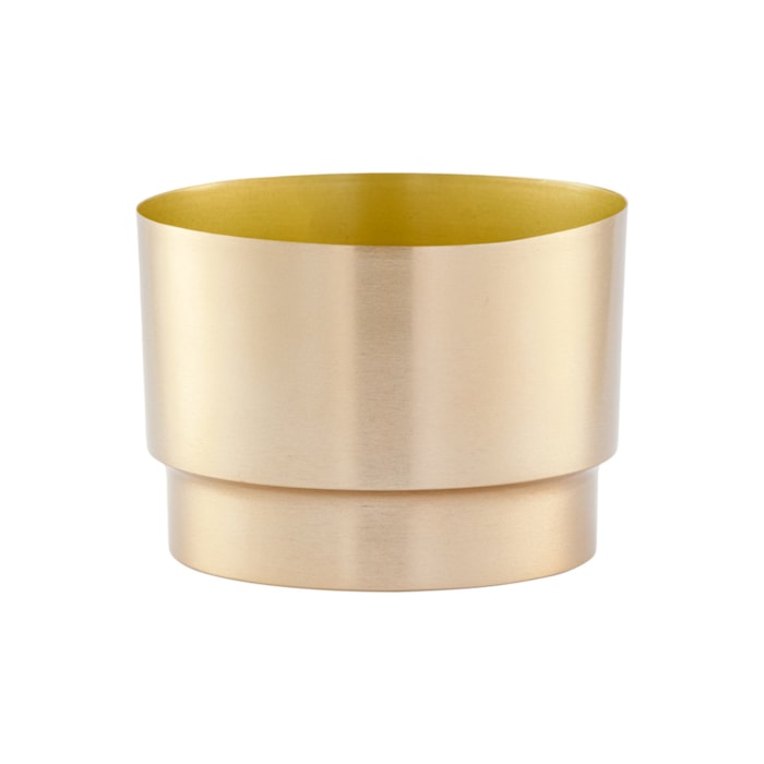 image_12d449a0-f052-42d0-ac15-a1dd588c54f2