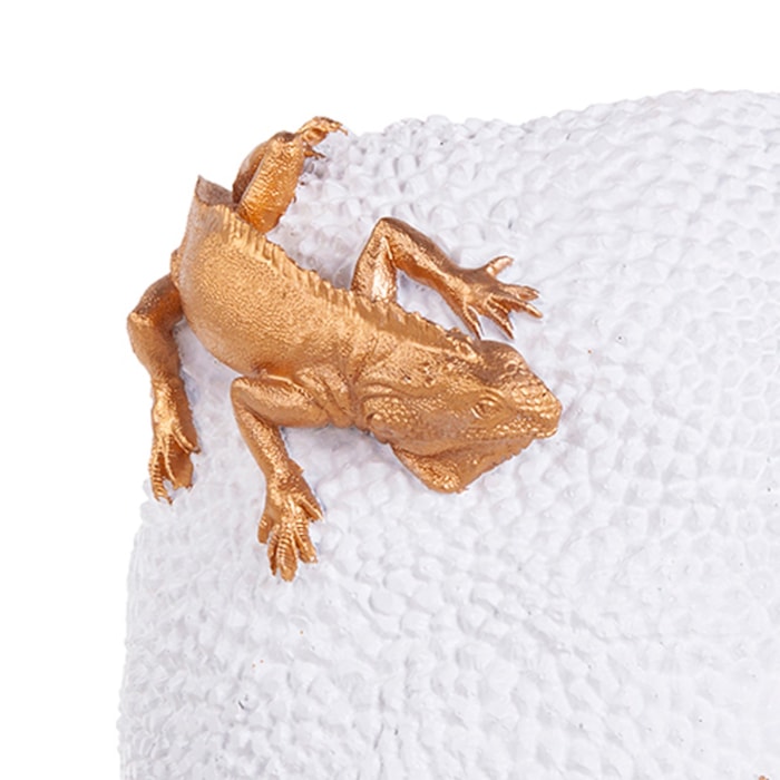 image_18d9afdc-16fb-4dd5-a002-bc1ac27c987f